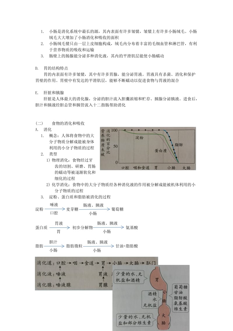 九年级科学上册 第4章 代谢与平衡知识点归纳 （新版）浙教版_第3页