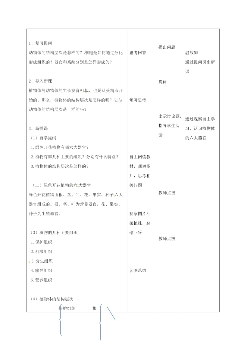 七年级生物上册 2_2_3 植物体的结构层次教案 （新版）新人教版2_第2页