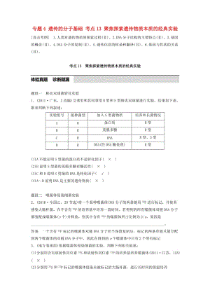 高考生物考前3個月專題復習 專題4 遺傳的分子基礎 考點13 聚焦探索遺傳物質本質的經(jīng)典實驗