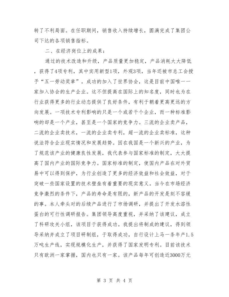 公司高级经济师工作总结_第3页