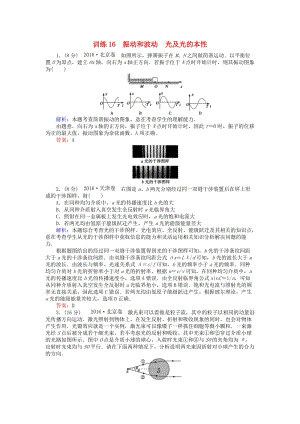 高考物理二輪復(fù)習(xí) 訓(xùn)練16 專題八 振動(dòng)和波動(dòng) 光及光的本性