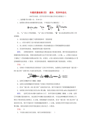 高考生物大二輪專題復(fù)習(xí) 專題質(zhì)量檢測(cè)4 遺傳、變異和進(jìn)化測(cè)試