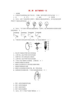 中考生物第一輪系統(tǒng)復(fù)習(xí)篇 第三單元 第二章 被子植物的一生1