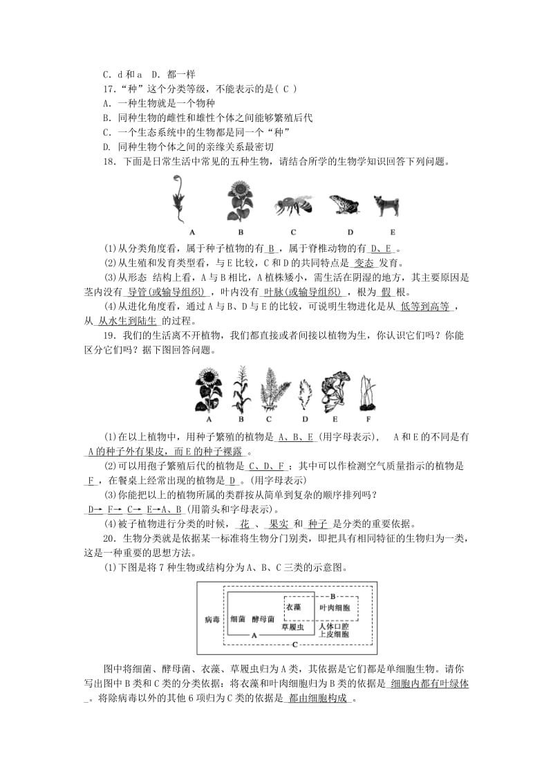 中考生物 第六单元 生物的多样性及其保护 第22讲 根据生物的特征进行分类 新人教版_第3页