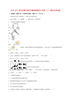 九年級(jí)化學(xué)上學(xué)期期末試卷（含解析） 新人教版 (7)