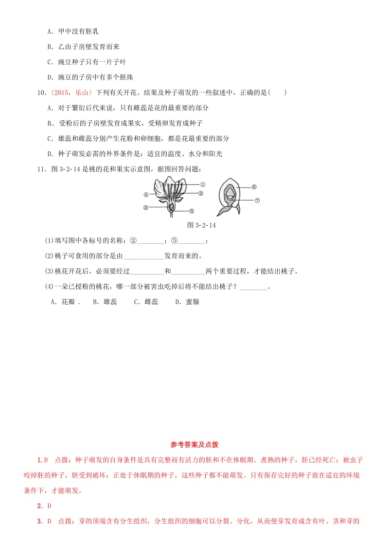 中考生物 考点梳理 第三单元 第二章 被子植物的一生基础练 新人教版_第3页