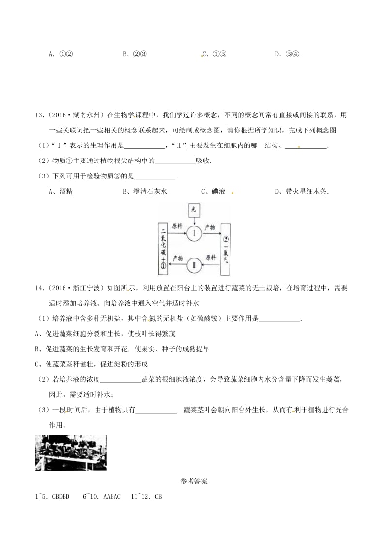 七年级生物上册 3_5_3 吸收作用练习 北师大版_第2页