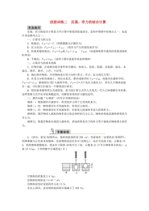 中考物理總復習 技能訓練二 壓強、浮力的綜合計算檢測1