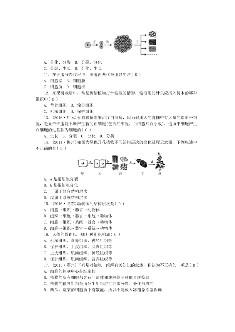 中考生物 第二单元 生物体的结构层次 第4讲 细胞怎样构成生物体 新人教版_第2页