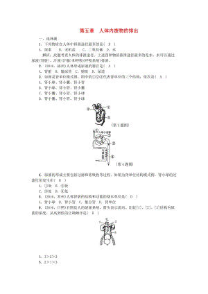 中考生物第一輪系統(tǒng)復(fù)習(xí)篇 第四單元 第五章 人體內(nèi)廢物的排出1