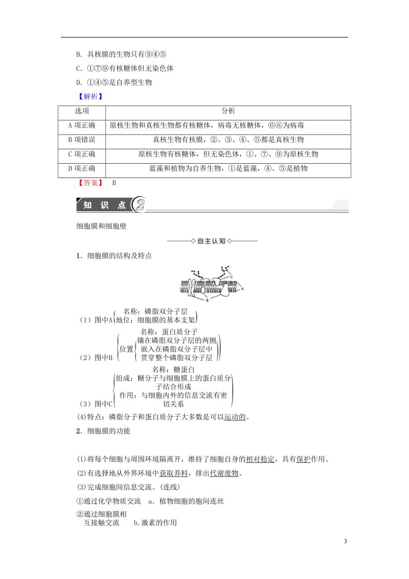 2016-2017学年高中生物第3章细胞的结构和功能第2节细胞的类型和结构第1课时原核细胞和真核细胞细胞膜和细胞壁学案苏教版必修1_第3页