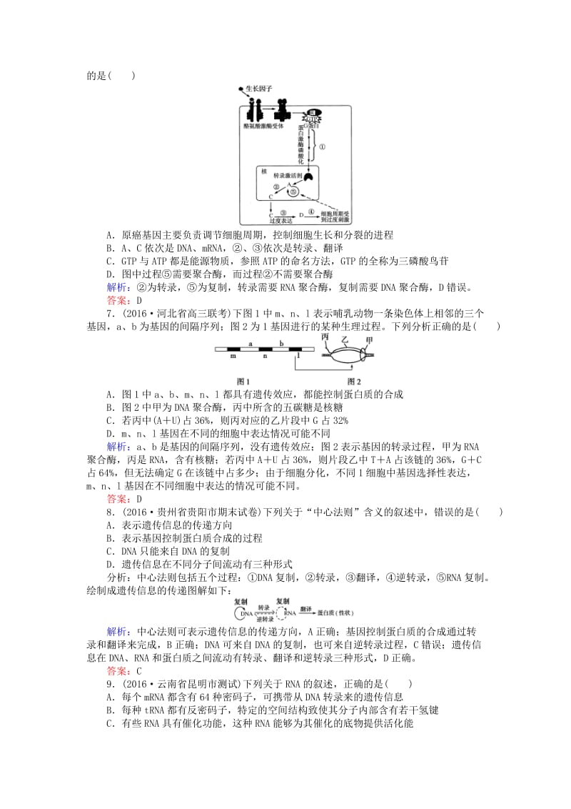 高考生物二轮复习 专题强化训练（七）遗传的分子基础_第3页