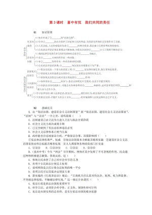 九年級(jí)政治全冊(cè) 第三單元 第8課 依法治國(guó)（第3課時(shí) 喜中有憂 我們共同的責(zé)任）練習(xí) 人民版