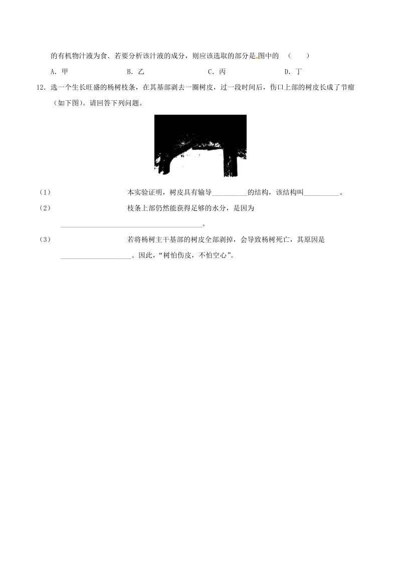 七年级生物上册 3_5_5 运输作用同步练习 北师大版_第2页