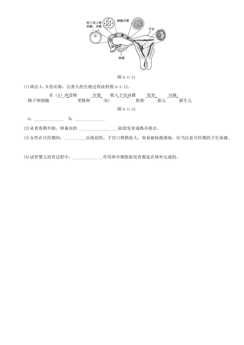 中考生物 考点梳理 第四单元 第一章 人的由来培优练 新人教版_第3页