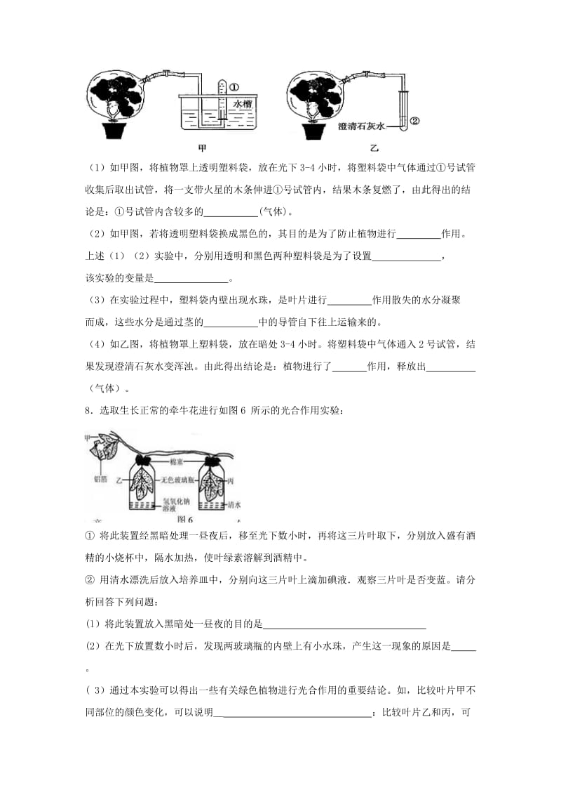 七年级生物上册 3_4 绿色植物是生物圈中有机物的制造者同步练习1 （新版）新人教版_第3页