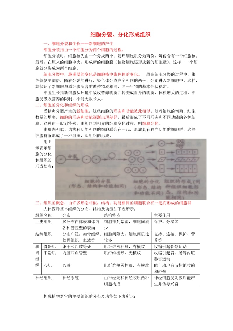 中考生物复习 细胞分裂、分化形成组织1_第1页