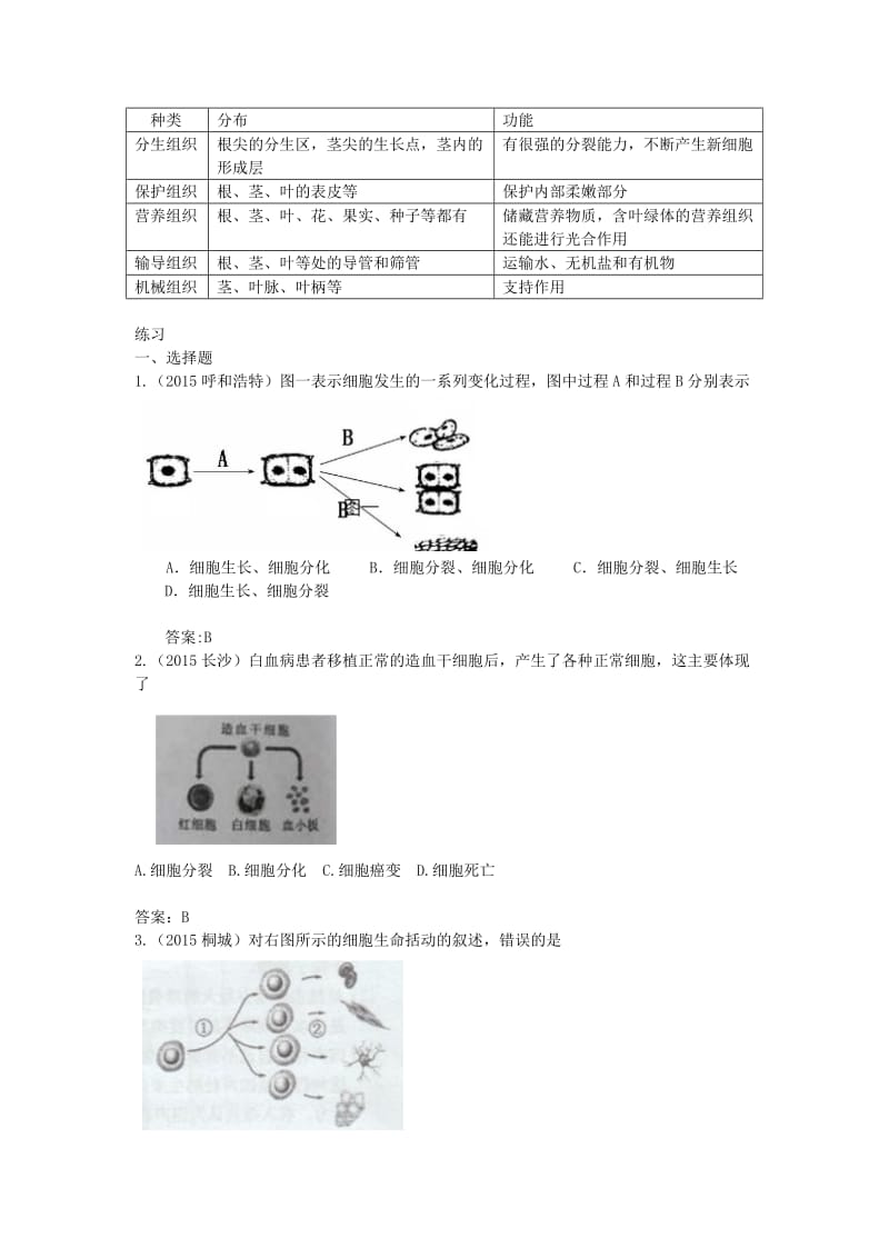 中考生物复习 细胞分裂、分化形成组织1_第2页