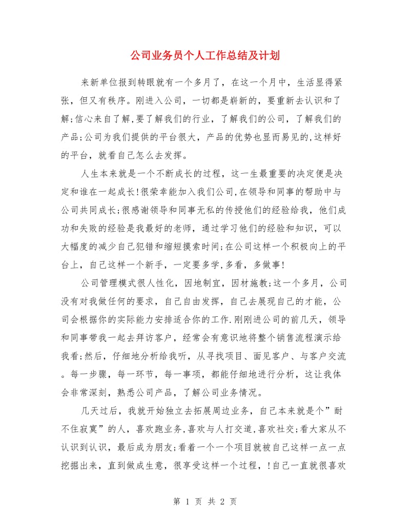 公司业务员个人工作总结及计划_第1页