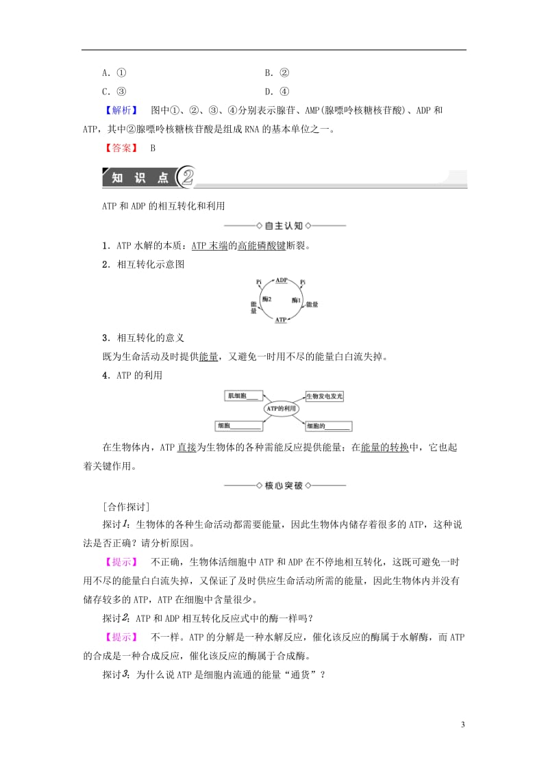 2016-2017学年高中生物第4章光合作用和细胞呼吸第1节ATP和酶第1课时生命活动的能量“通货”--ATP学案苏教版必修1_第3页