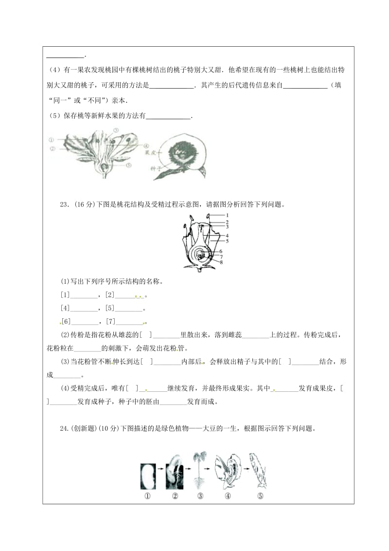 七年级生物上册 3_2 被子植物的一生教案4 （新版）新人教版_第2页