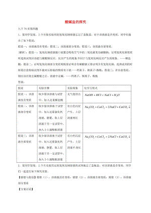 中考化學(xué)分類專項(xiàng)復(fù)習(xí) 酸堿鹽的探究