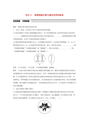 高考生物考前3個(gè)月專題復(fù)習(xí) 專題3 細(xì)胞的生命歷程 考點(diǎn)11 理清細(xì)胞分裂與遺傳變異的聯(lián)系