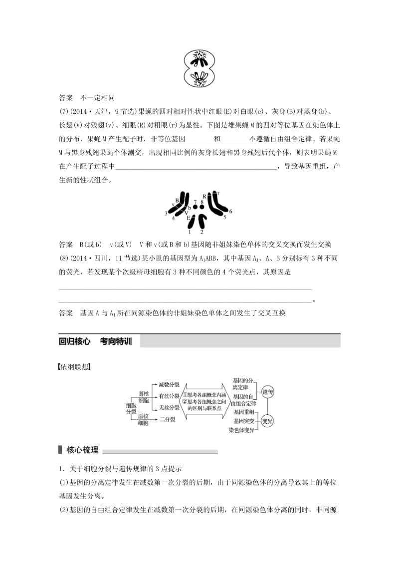 高考生物考前3个月专题复习 专题3 细胞的生命历程 考点11 理清细胞分裂与遗传变异的联系_第3页