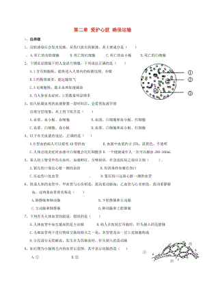 七年級(jí)生物下冊(cè) 2.2 愛護(hù)心臟 確保運(yùn)輸導(dǎo)學(xué)案冀教版