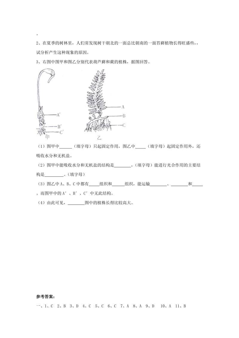 七年级生物上册 3_1_1 藻类、苔藓和蕨类植物同步练习 （新版）新人教版_第3页