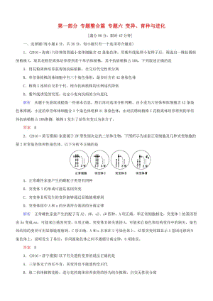 高考生物二輪復習 專題輔導與訓練 第一部分 專題整合篇 專題六 變異、育種與進化