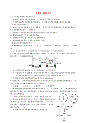 高中生物 專題二 細胞工程練習(xí)題 新人教版選修31