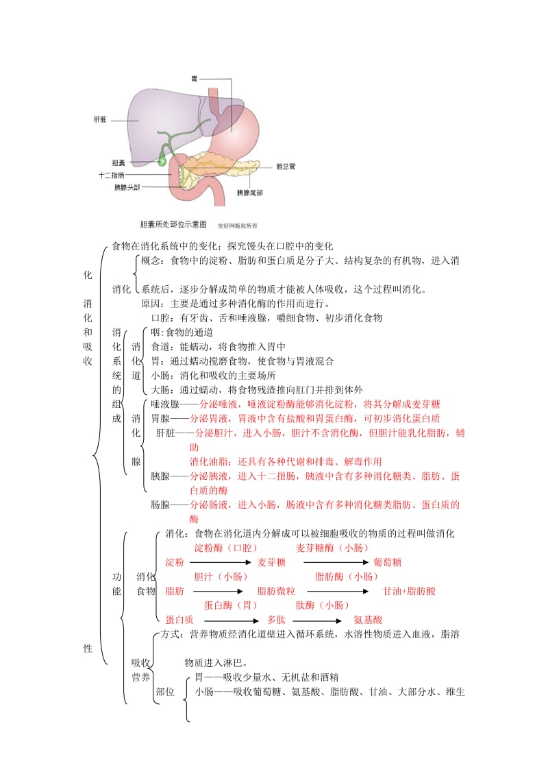 中考生物复习 人的食物来源于环境1_第2页