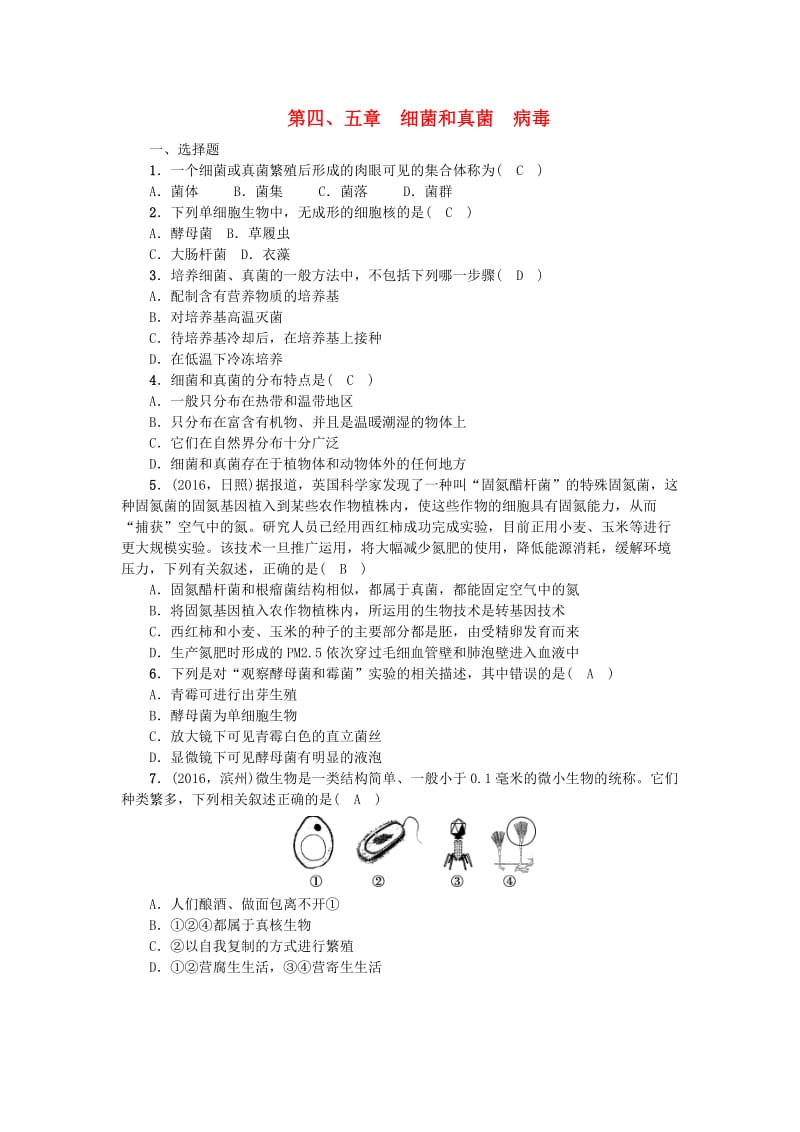 中考生物第一轮系统复习篇 第五单元 第四、五章 细菌和真菌 病毒1_第1页