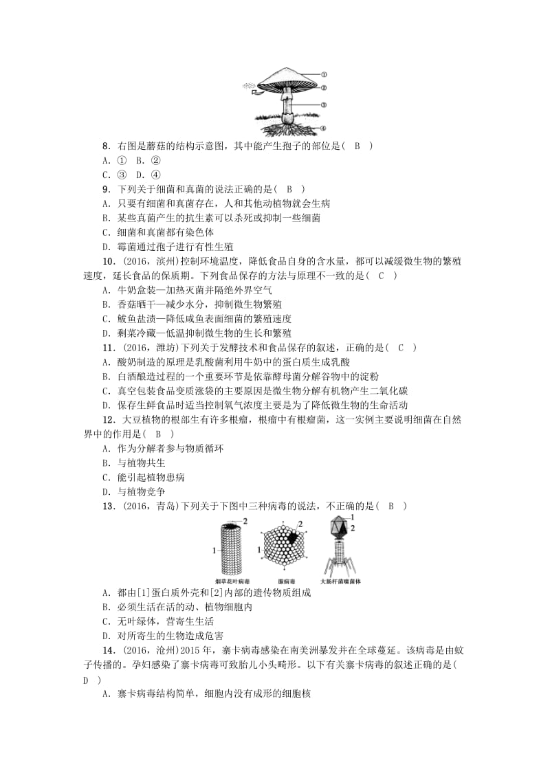 中考生物第一轮系统复习篇 第五单元 第四、五章 细菌和真菌 病毒1_第2页