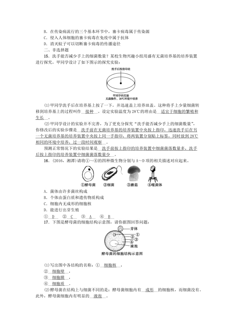 中考生物第一轮系统复习篇 第五单元 第四、五章 细菌和真菌 病毒1_第3页