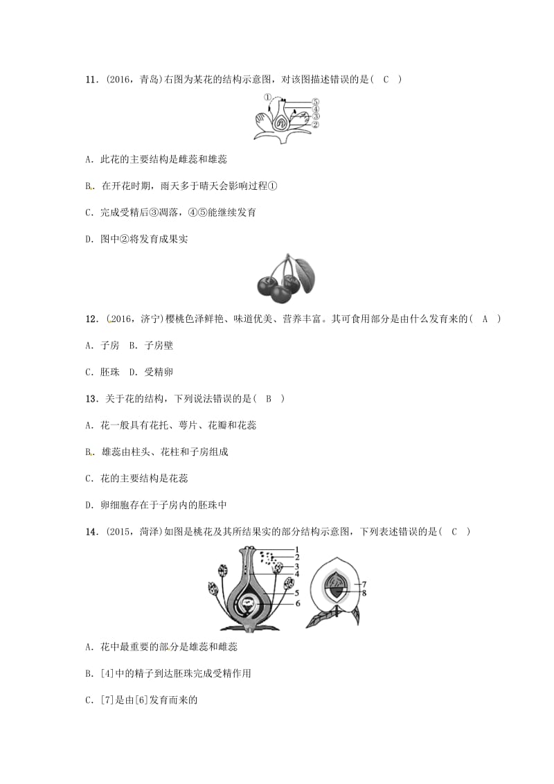 中考生物第一轮复习 七上 3_2 被子植物的一生训练训练 新人教版_第3页