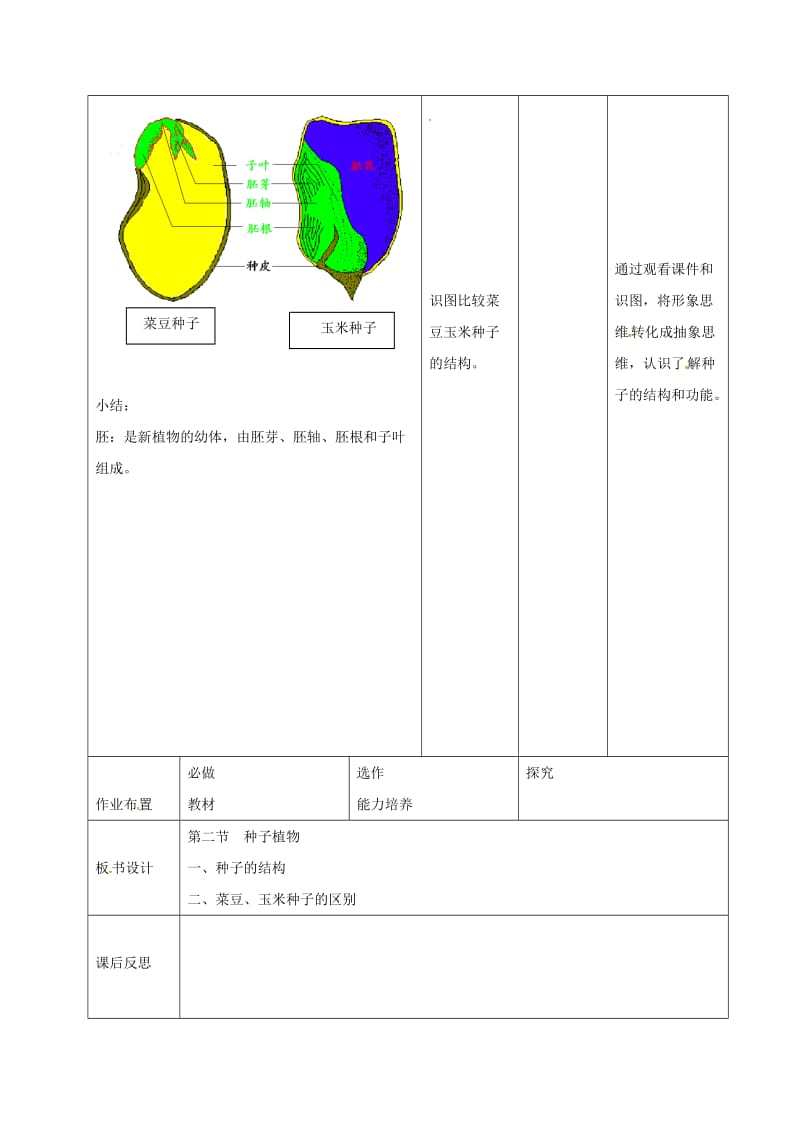 七年级生物上册 3_1_2 种子植物教案1 （新版）新人教版_第3页