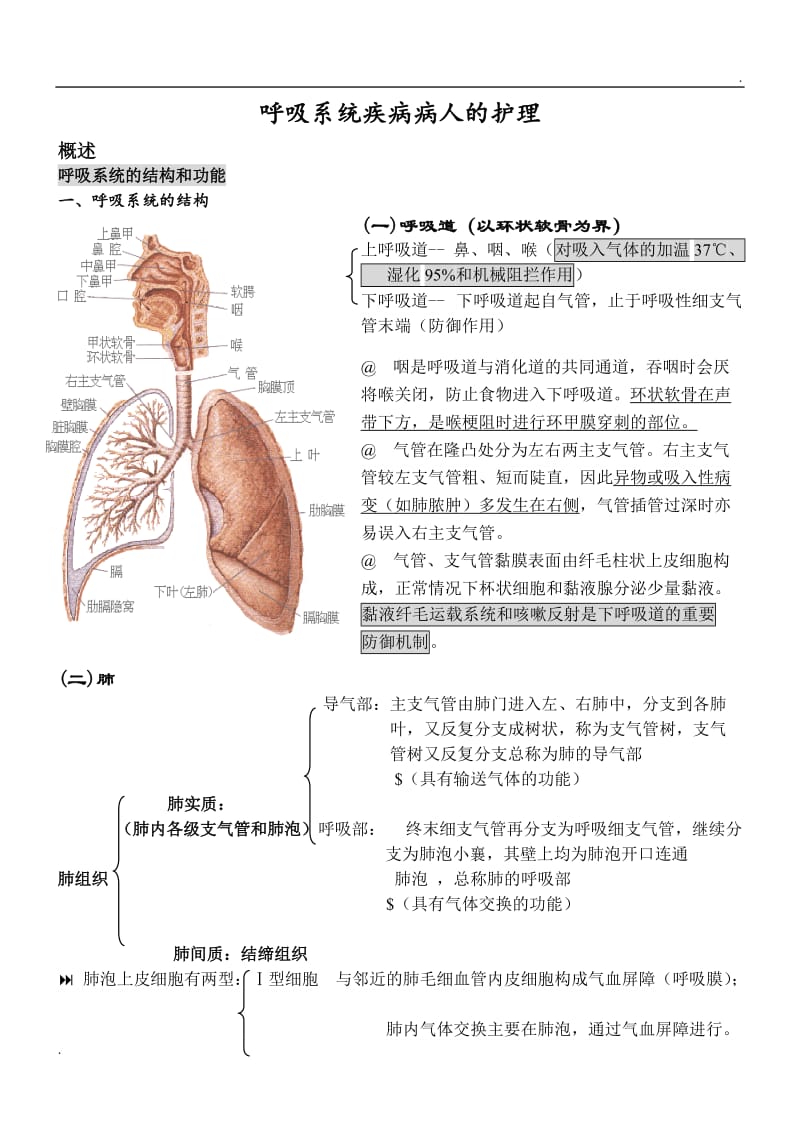 内科护理学笔记(呼吸系统)_第1页