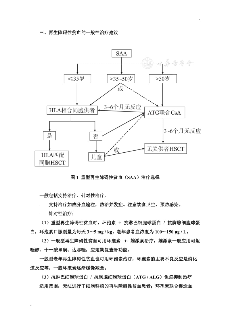 再生障碍性贫血04520_第3页