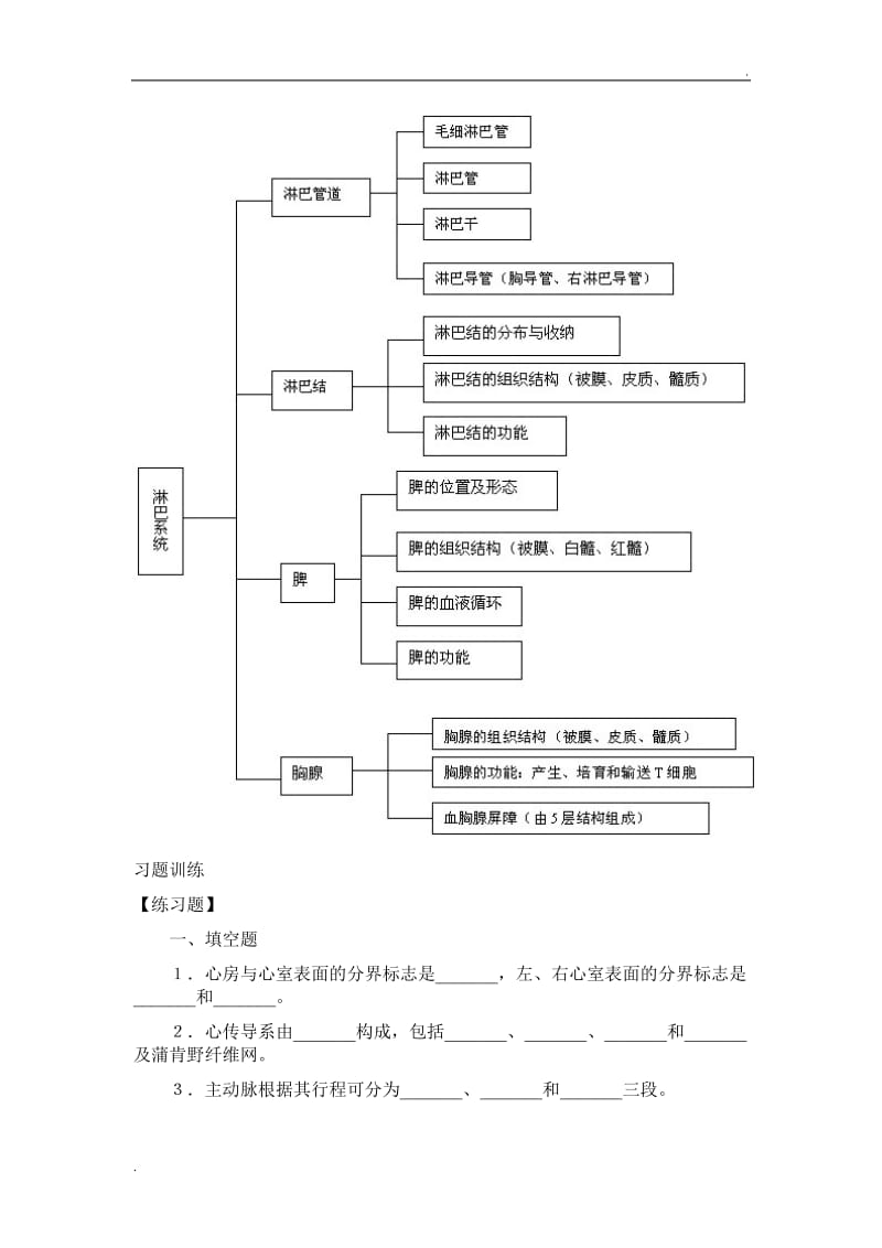 人体解剖学基础第七章 脉管系统总结及习题_第2页