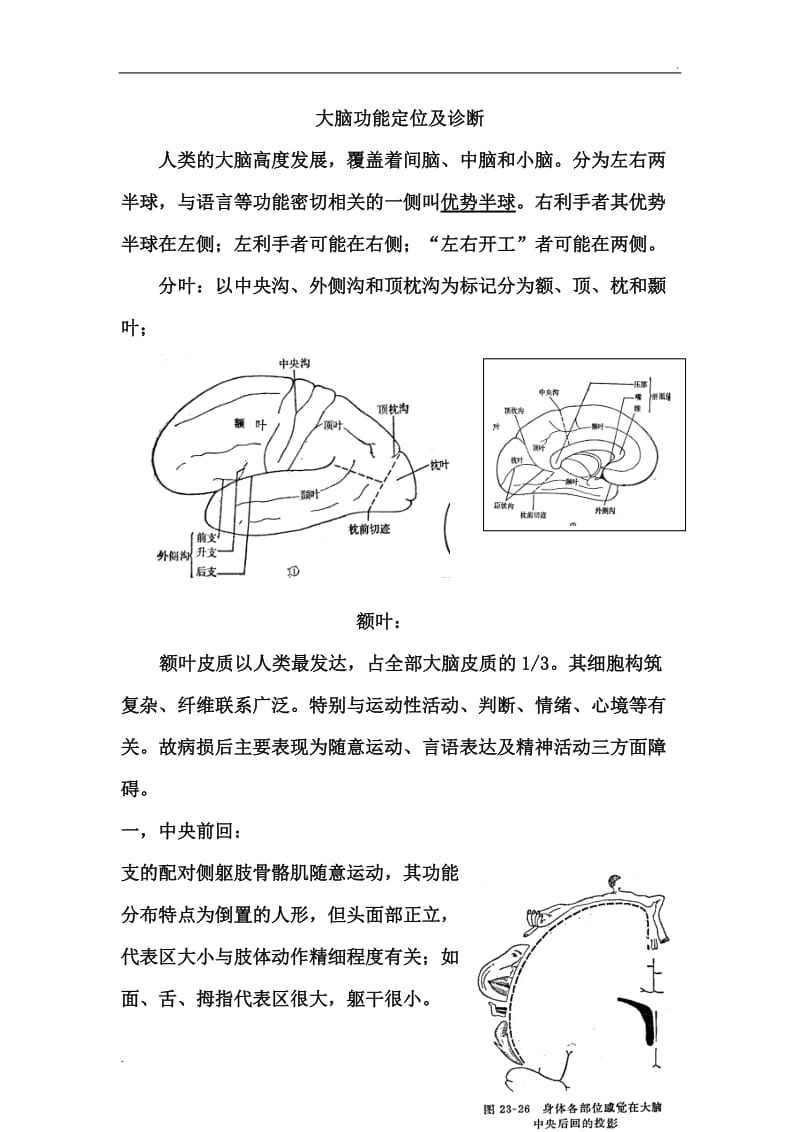 大脑功能定位诊断_第1页