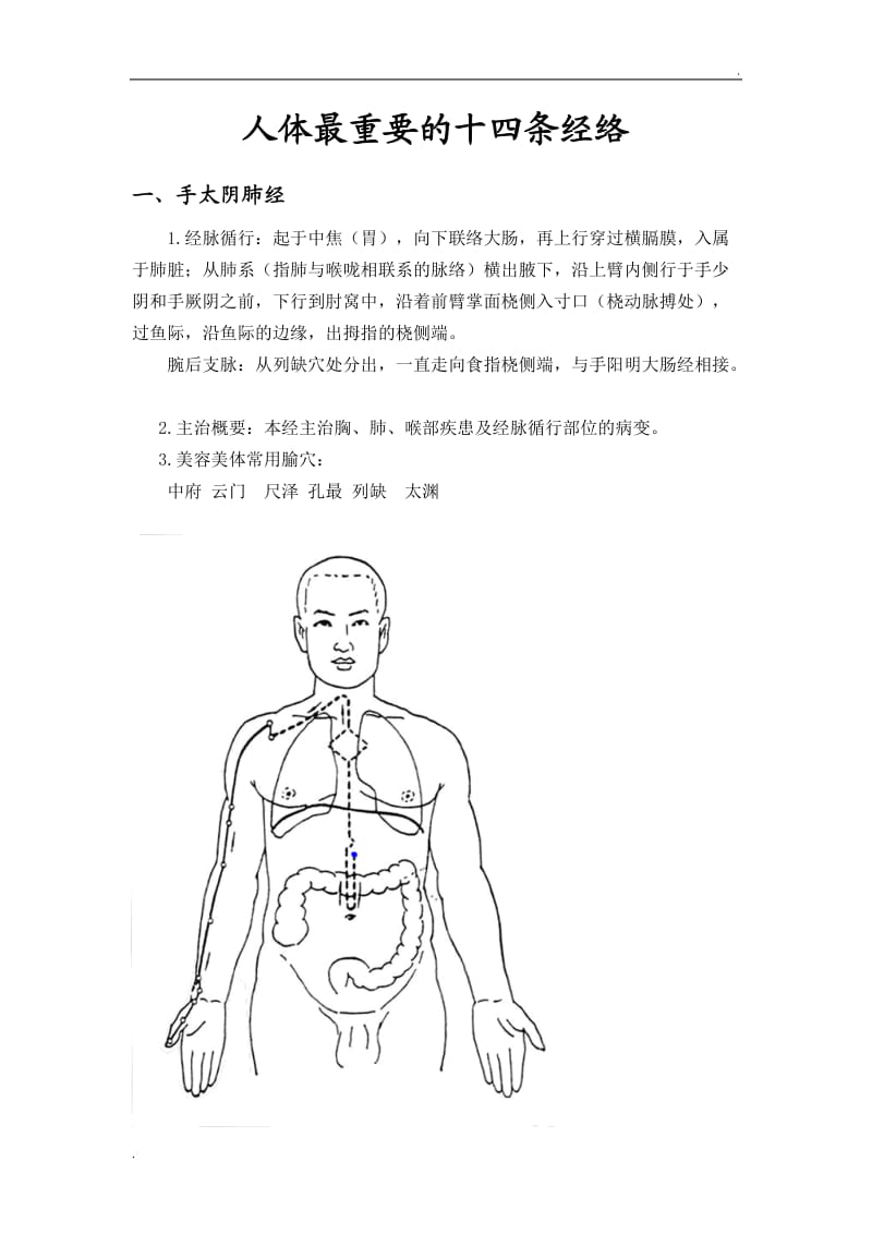 人体十四条经络_第1页