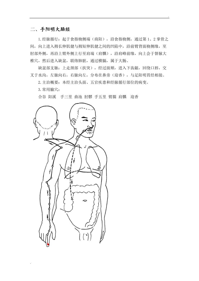 人体十四条经络_第2页