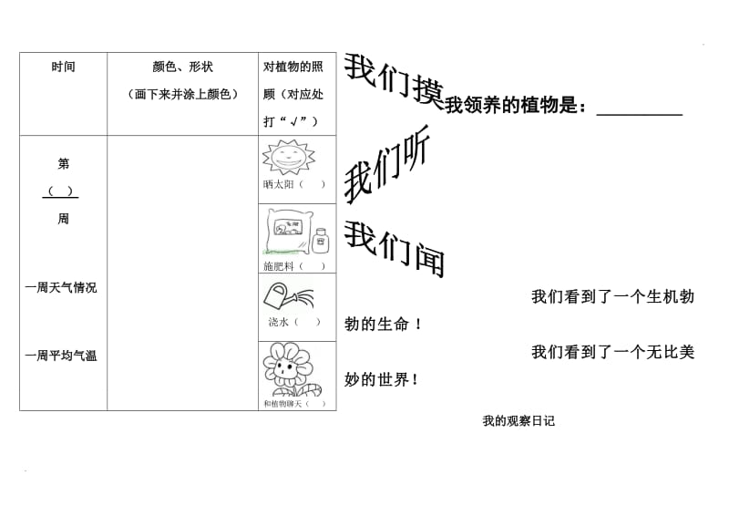 小学植物生长观察记录表_第2页