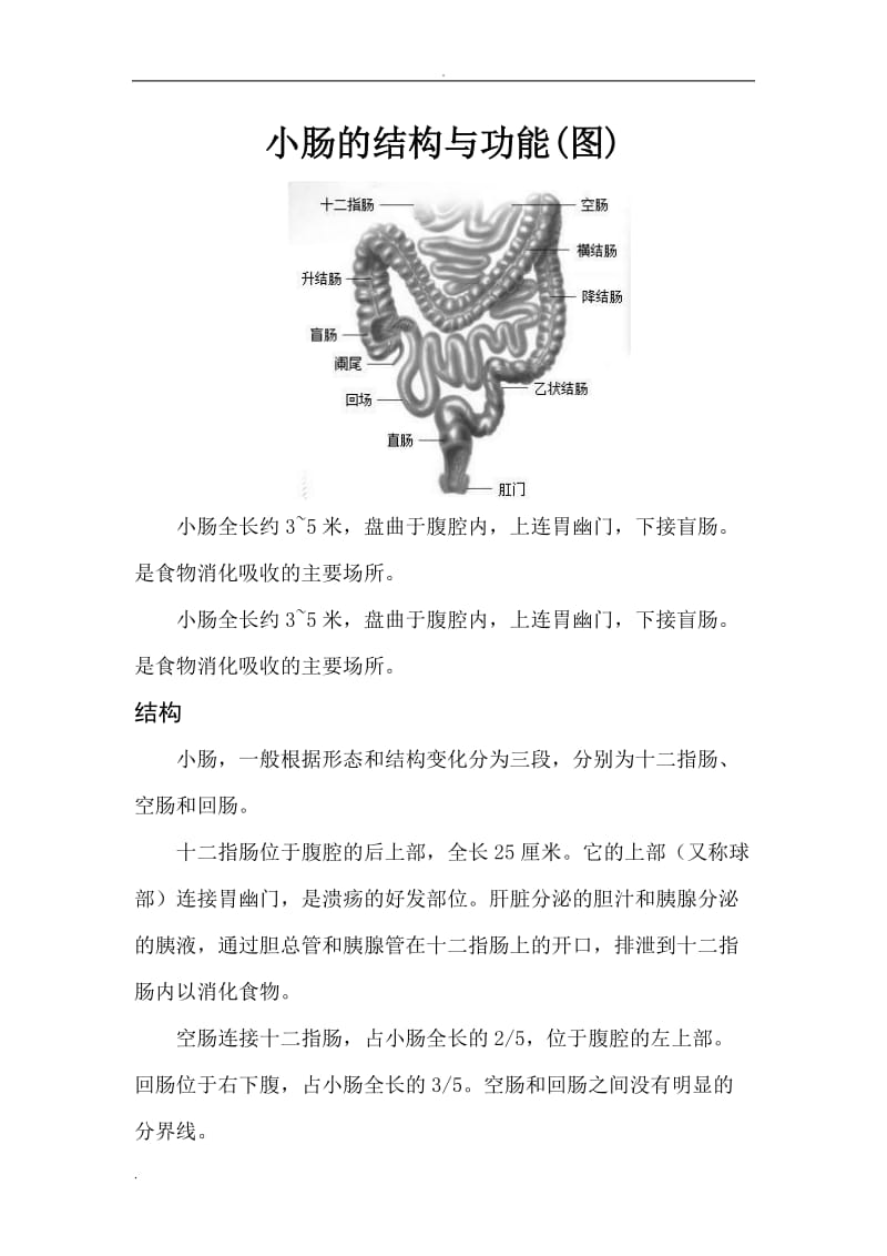 小肠的结构和功能(图)_第1页
