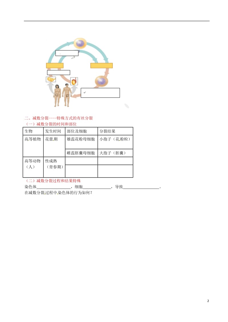 高中生物 减数分裂和受精作（一）素材 新人教版必修2_第2页