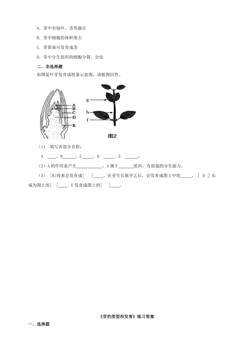 八年级生物上册 1_6《芽的类型和发育》练习 （新版）济南版_第2页