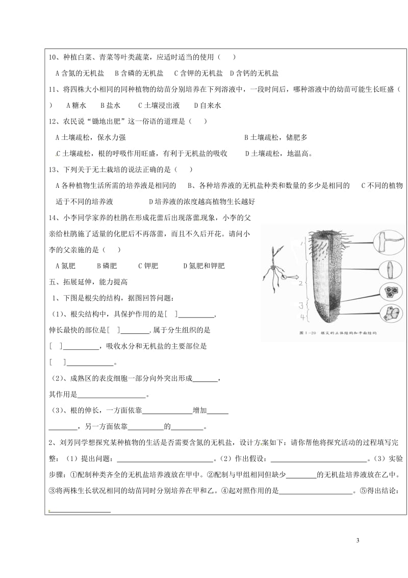 山东省广饶县八年级生物上册4.1.5根的结构与功能学案无答案新版济南版_第3页