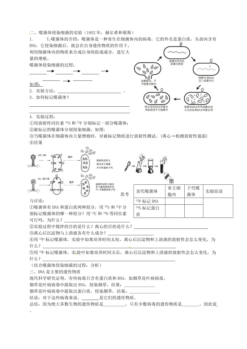 高中生物 3.1 DNA是主要遗传物质练习新人教版必修2_第2页